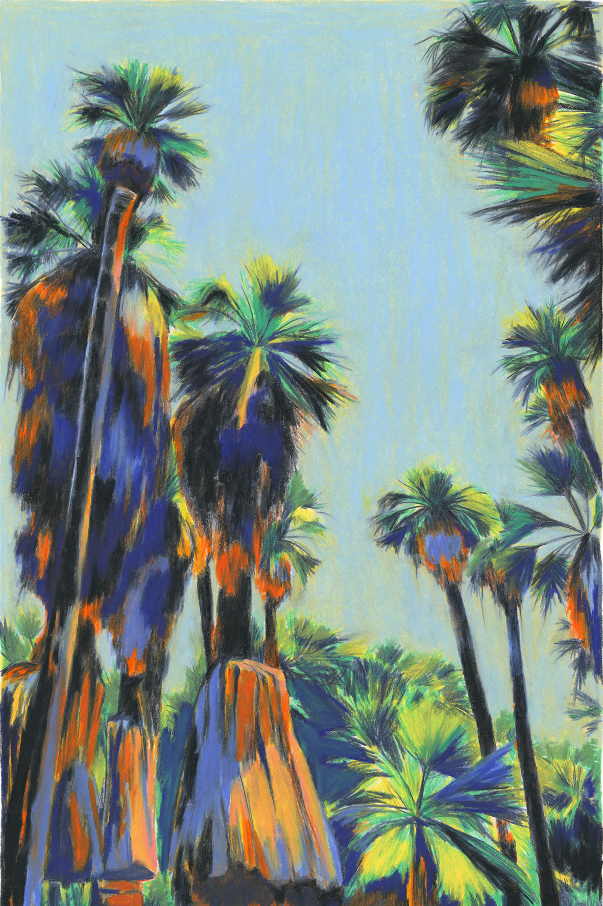 Clément Thoby - Indian Canyon