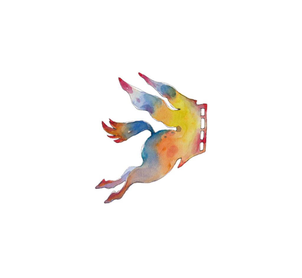 Imaginaria – logo del festival