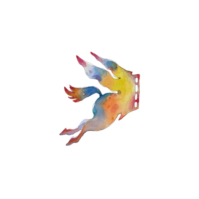 Imaginaria – logo del festival