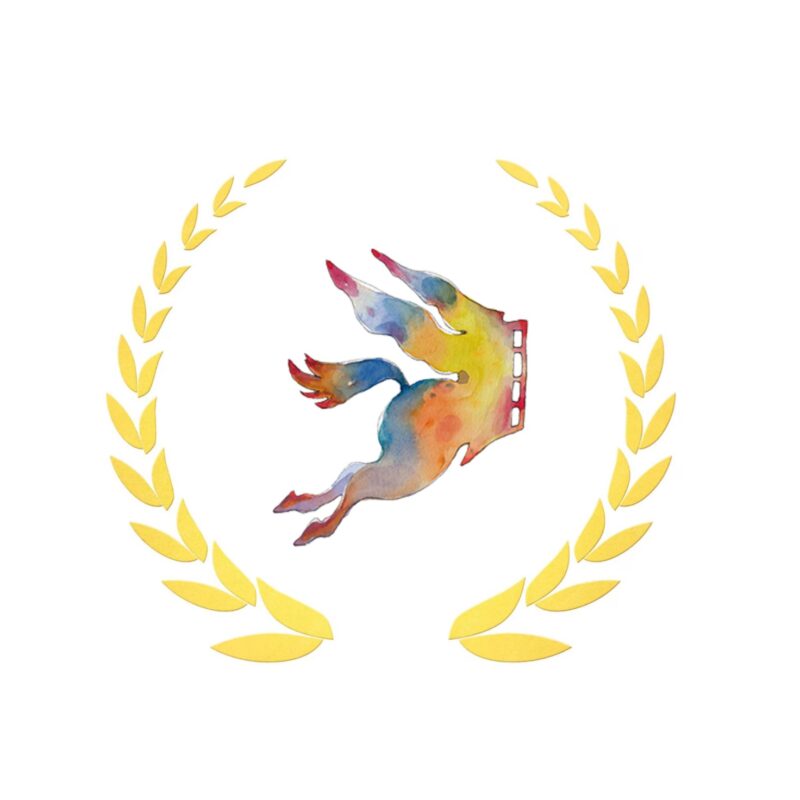 Selezioni ufficiali Imaginaria 2026